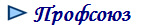  Профсоюз